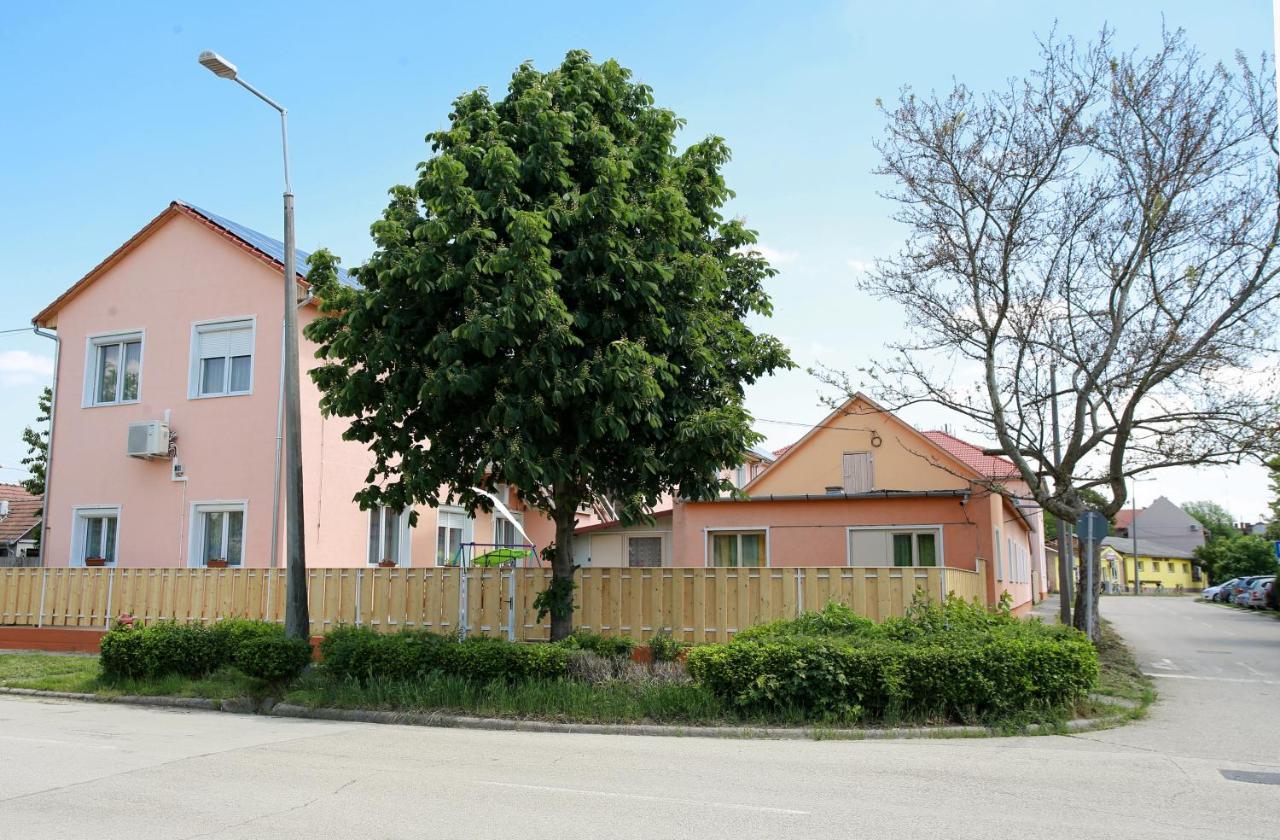 زينتيس Central Panzio المظهر الخارجي الصورة